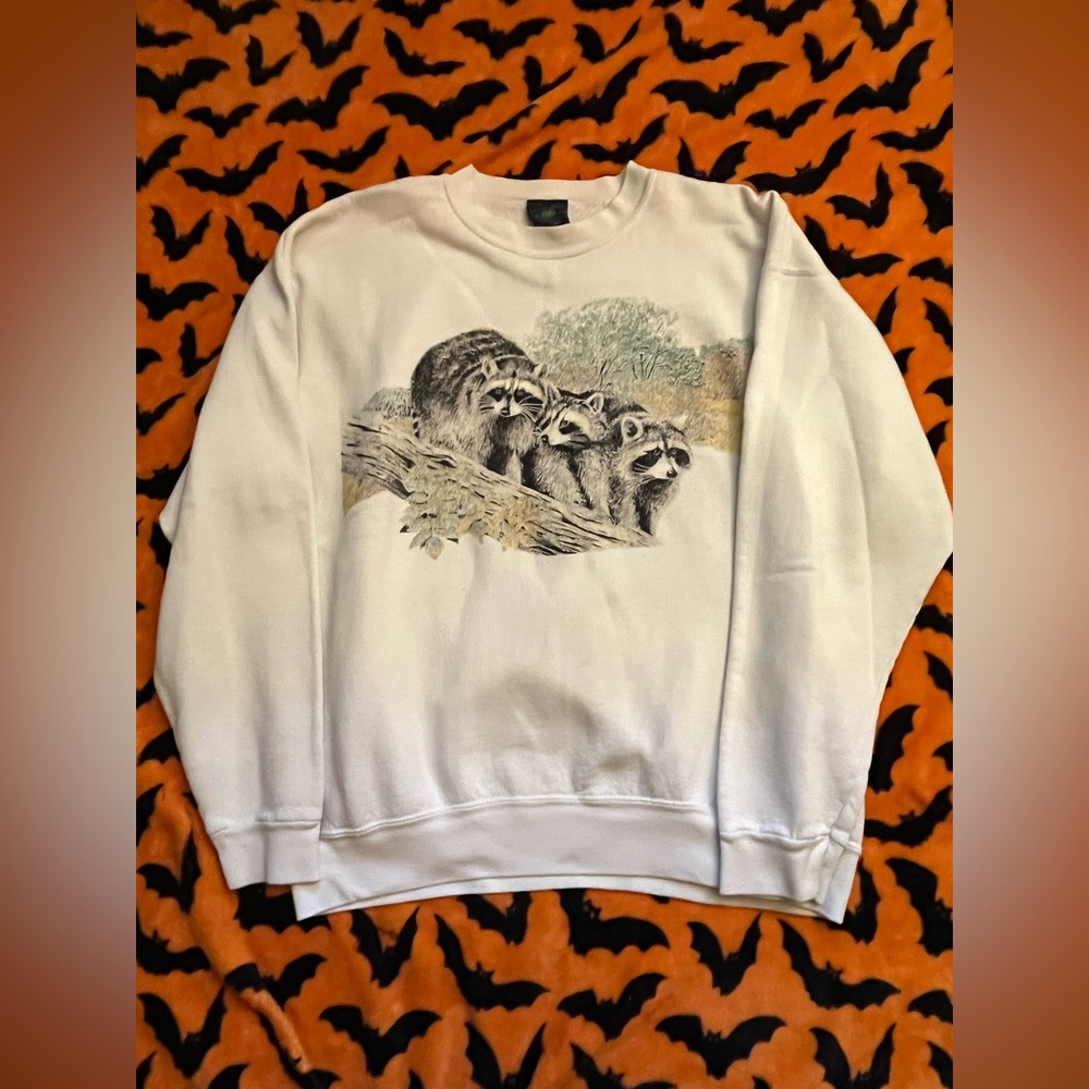 Raccoon Print Men's Sweatshirt